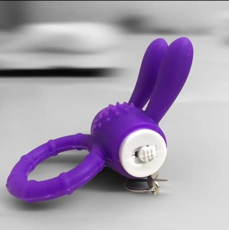 Secret Bunny