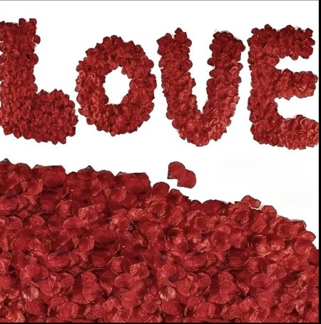 بتلان ورد حمراء رومانسية